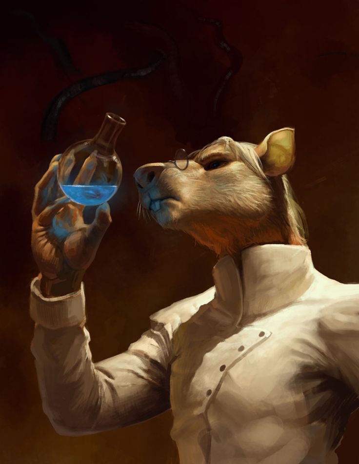 WE ARE NOT RATS